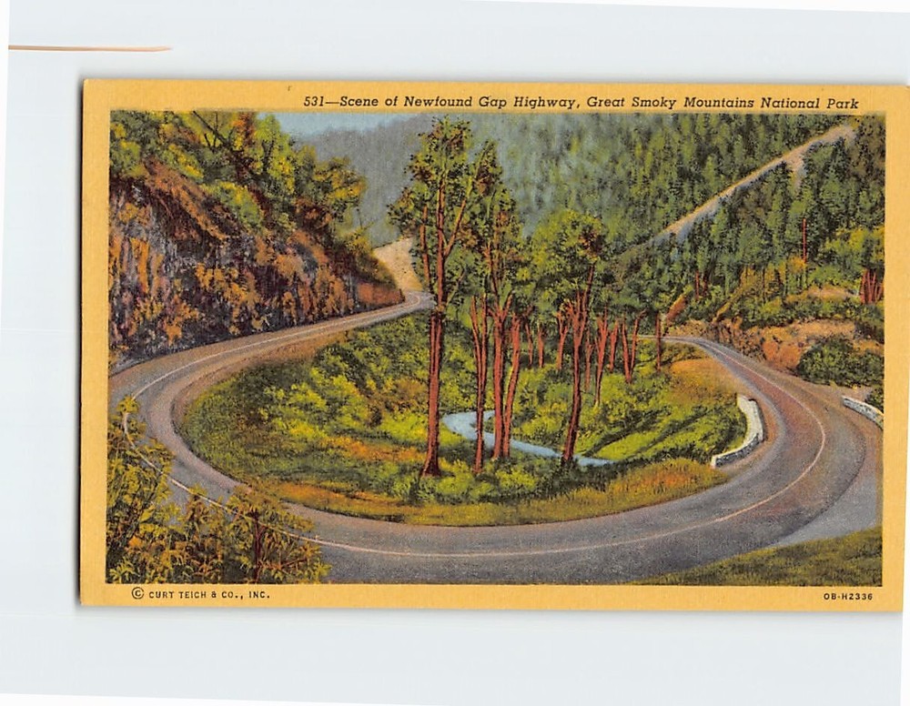 Postcard Scene of Newfound Gap Highway Great Smoky Mountains National Park USA