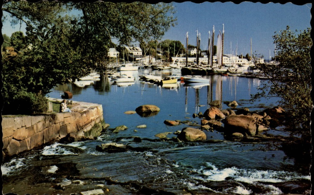 Maine Camden Harbor ships ~ 1950s-60s vintage postcard sku427