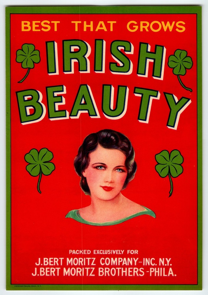 Vintage 1940s Irish Beauty Pinup Girl Shamrocks Crate Label  