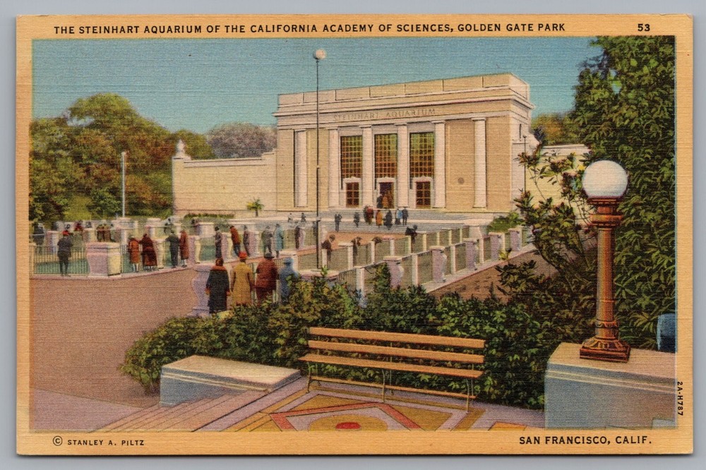 Steinhart Aquarium~California Academy of Science, San Francisco. Postcard TS-92-image