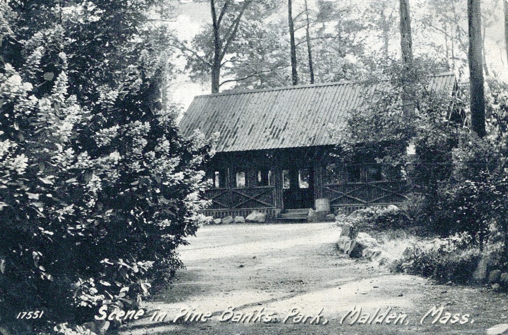 Scene In Pine Banks Park Malden Massachusetts Postcard