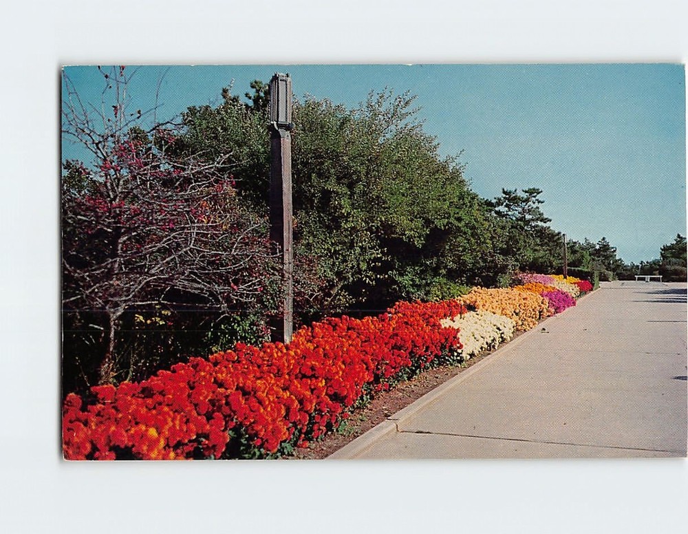 Postcard Fall Flowers Central Mall Jones Beach Long Island NY