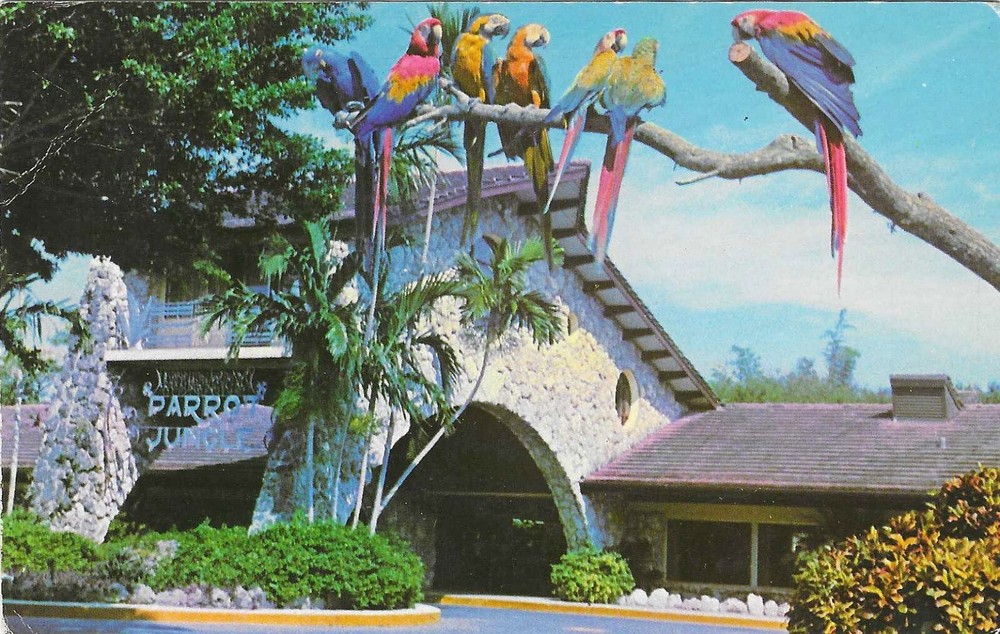 Vintage Florida Chrome Postcard Miami Parrot Jungle Entrance Coral Arcade