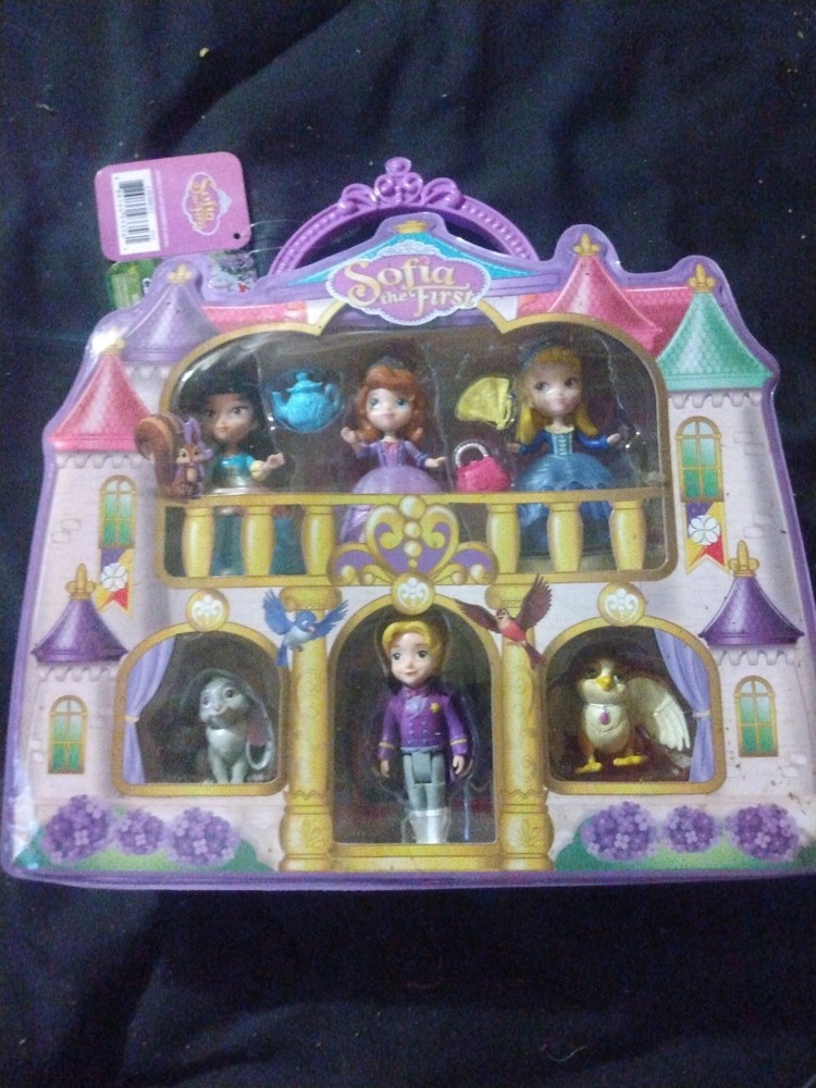 Sophia the first castle case