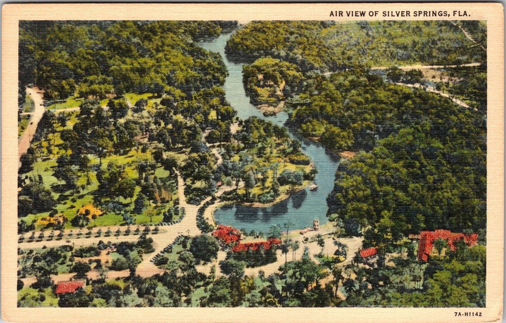 Silver Springs FL-Florida, Aerial View Town Area, Vintage Postcard