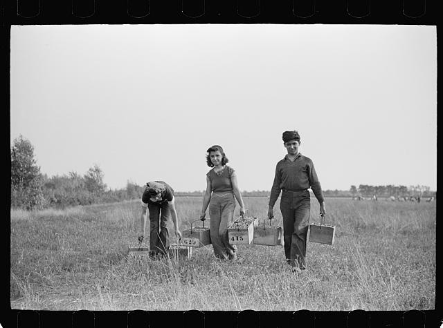 Photo:Burlington County New Jersey Cranberry Pickers 1938 Checking Station