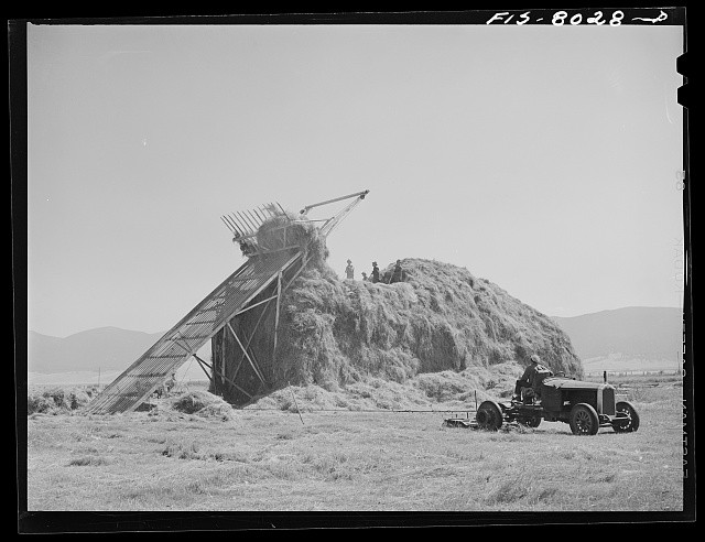 Photo:Big Hole Valley Montana 1942 Hay Stacking with Tractor Track Burner