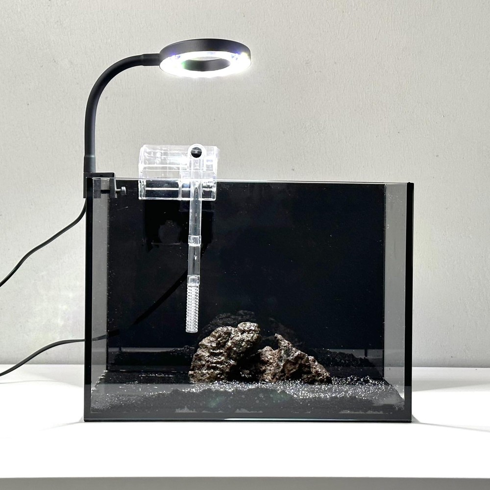 2.2 Gallon Rimless Betta Aquarium Kit with Filter and LED Light