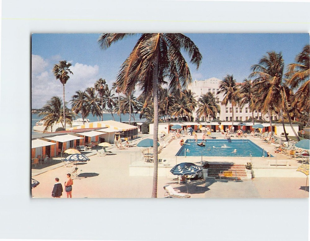 Postcard Pool View Flamingo Hotel & Club Miami Beach Florida USA