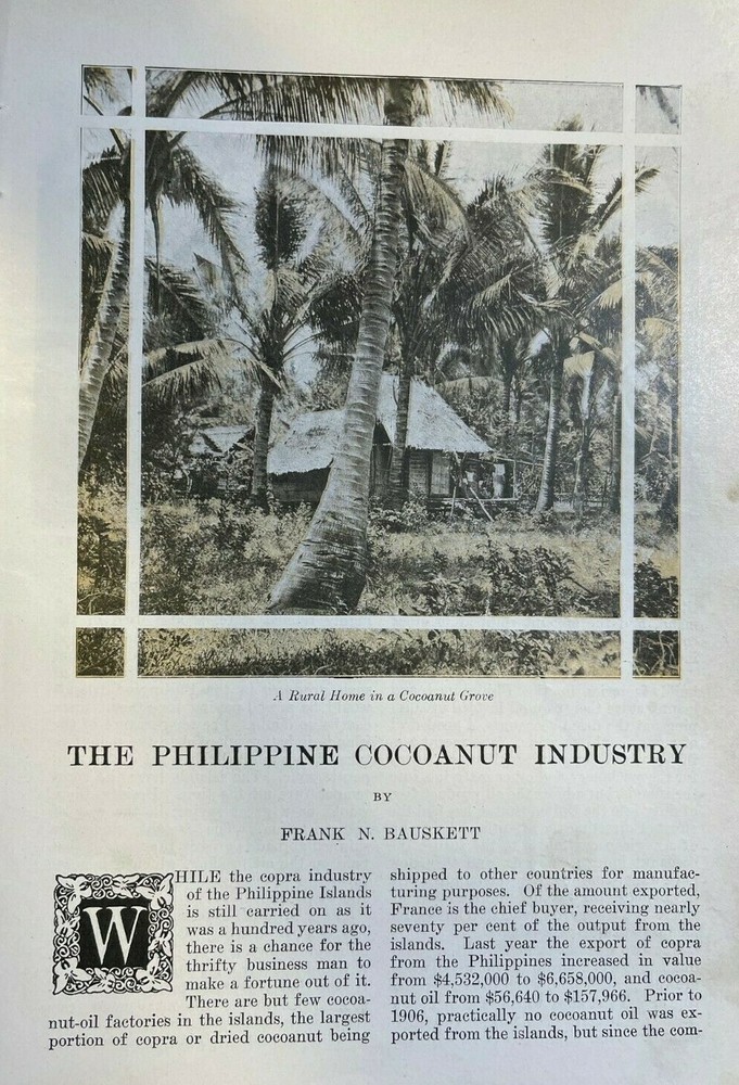 1911 Coconut Growing in the Philippine Islands illustrated