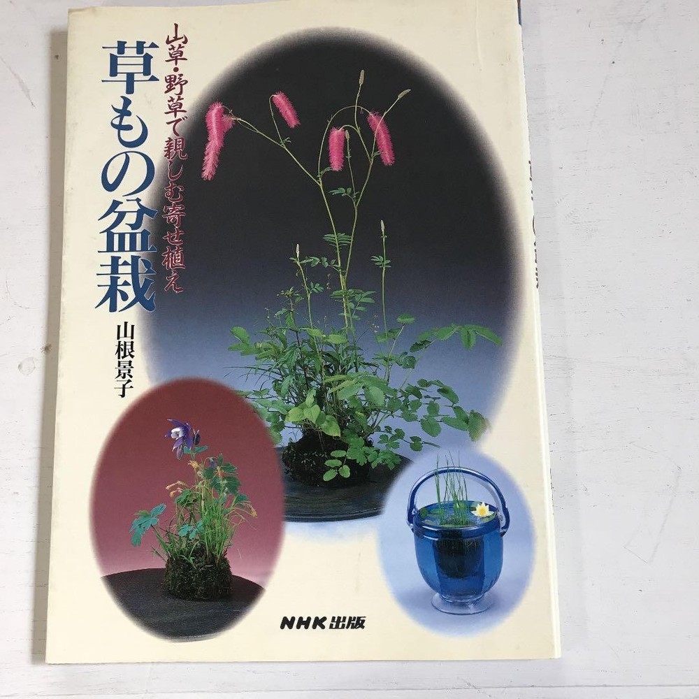 Bonsai Book Grass Bonsai Shohin Group Planting Mountain Plants Keiko Yamane