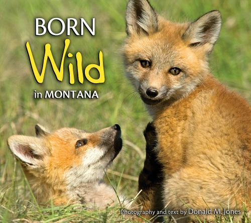 Born Wild in Montana photography by Donald M. Jones paperback Used - Good