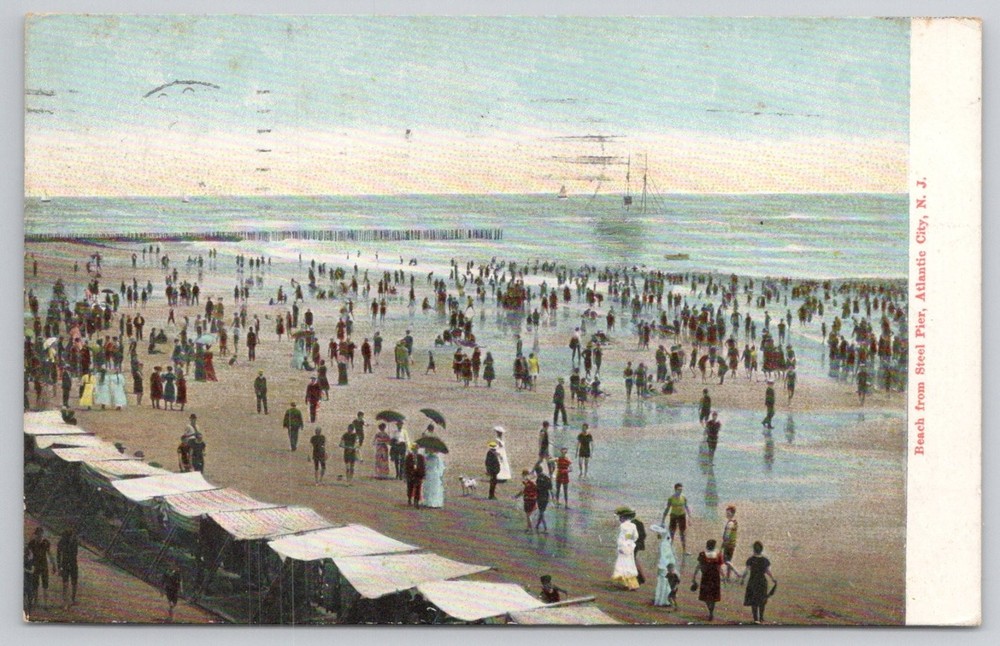 Atlantic City NJ Beach Steel Pier Postcard 1909 Crowded Shore Scene