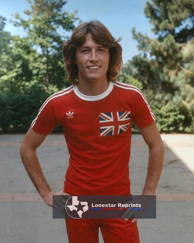Andy Gibb   8x10 Reprint