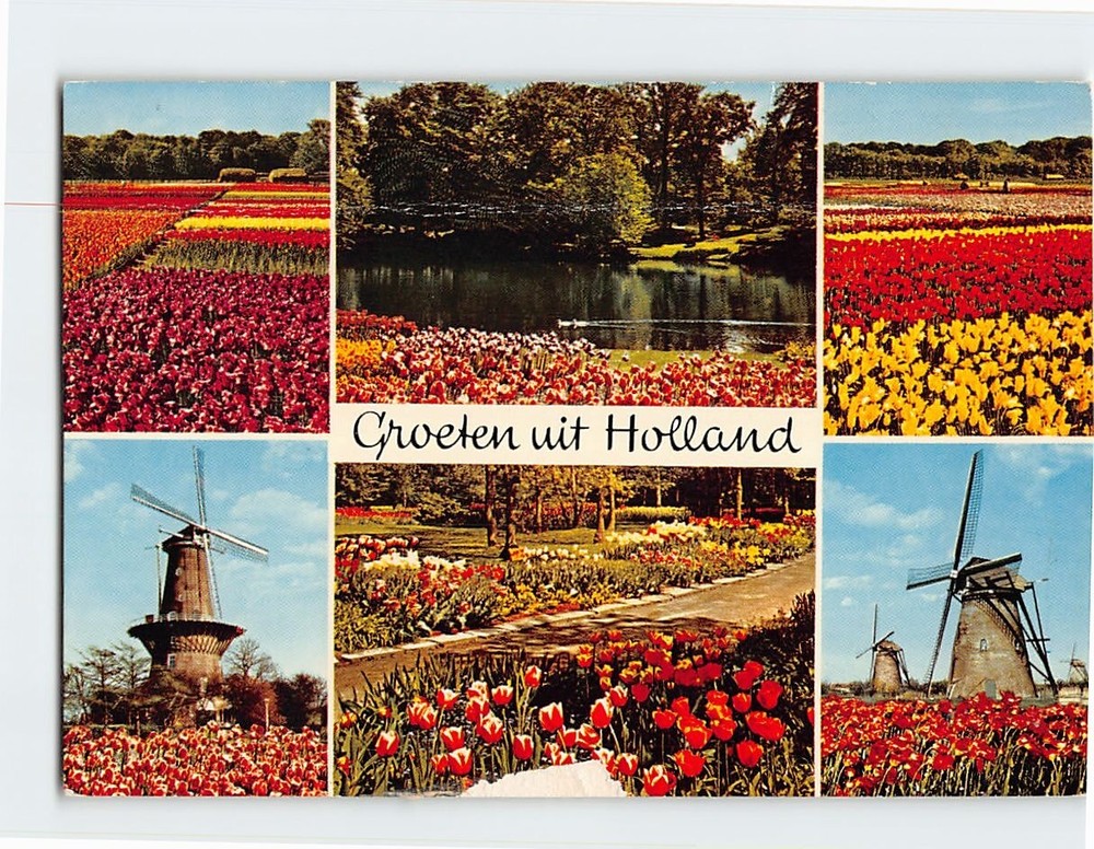 Postcard Groeten uit Netherlands