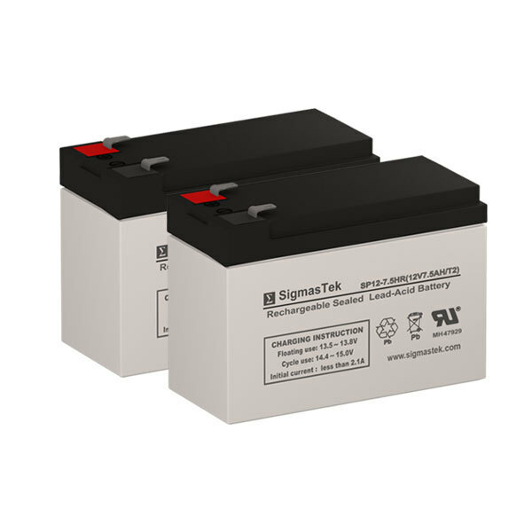 Razor E300 Electric Scooter Replacement Battery Set of 2 by SigmasTek