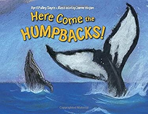 Here Come the Humpbacks! Library Binding April Pulley SayreFree US Delivery | ISBN:1580894054