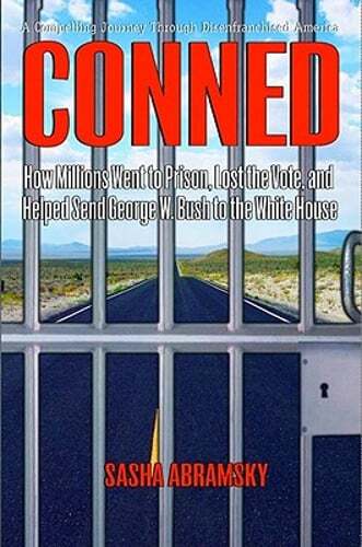Conned: How Millions Went to Prison, Lost the Vote, and Helped Send George W.