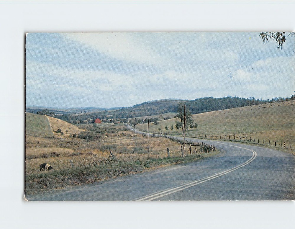 Postcard Scene on Hwy. No. 219 Maryland USA