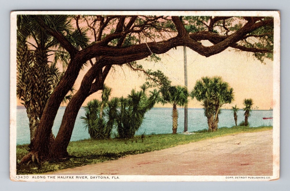 Florida FL Daytona Along The Halifax River Vintage Postcard