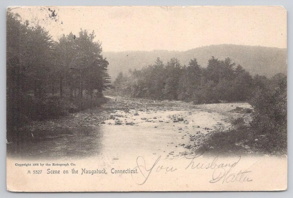 1906 Naugatuck River Scene Postcard, Connecticut - Rotograph Co. Undivided Back