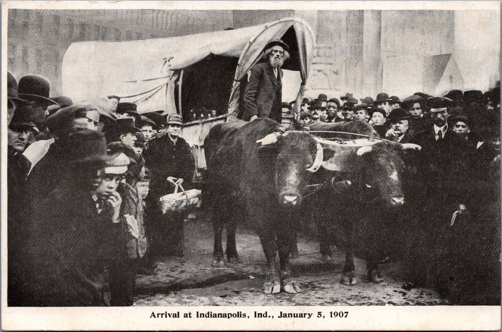 1907 Indianapolis Indiana Oxen Wagon Arrival RPPC Postcard