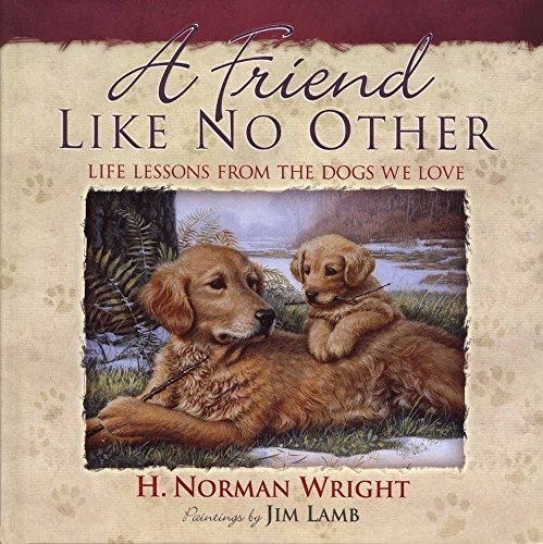 A Friend Like No Other: Life Lesson..., Wright, H. Norm