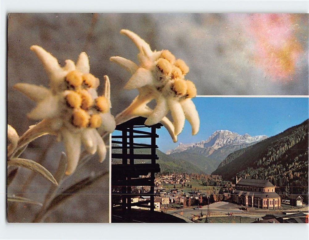 Postcard Dolomiti Falcade Italy