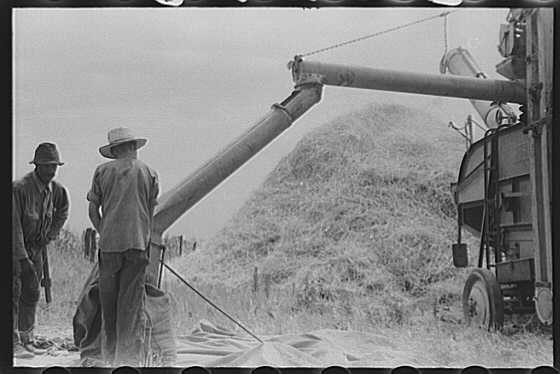 Oldham County,Kentucky,KY,Farm Security Administration,July 1940,FSA,5