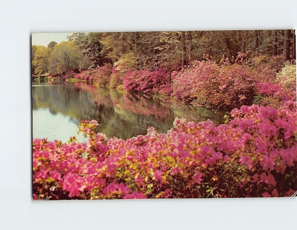 Postcard Scene in Bellingrath Gardens Mobile Alabama USA