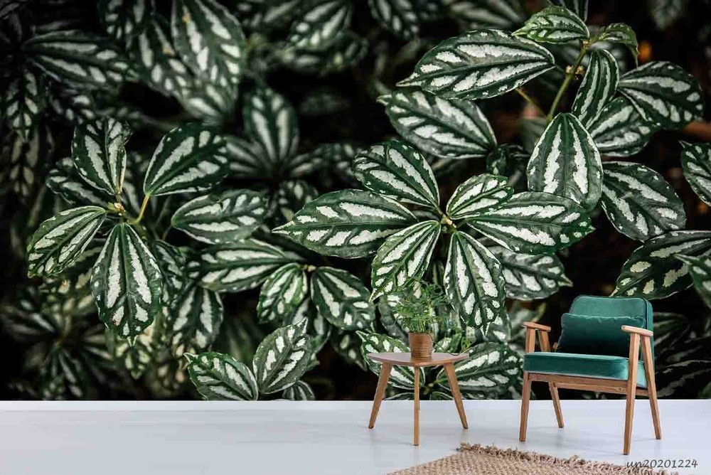 3D Plants Leaves Close-up Wall Murals Wallpaper Murals Wall Sticker