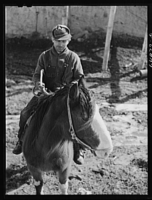 McCone County,Montana,MT,Farm Security Administration,John Vachon,FSA,15