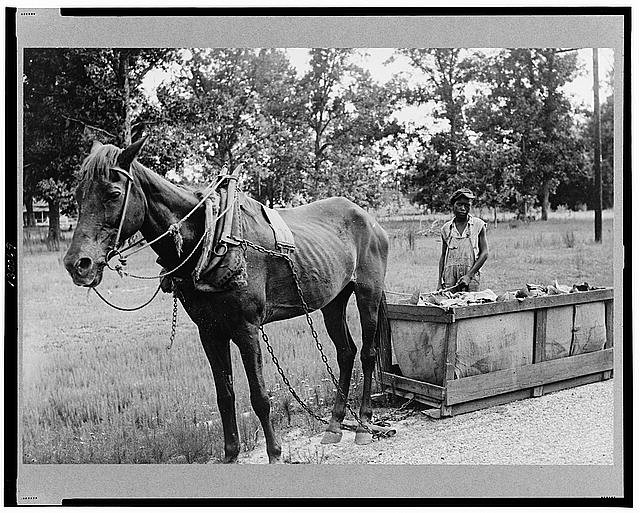 Stockton,Georgia,GA,Lanier County,Farm Security Administration,1936,FSA