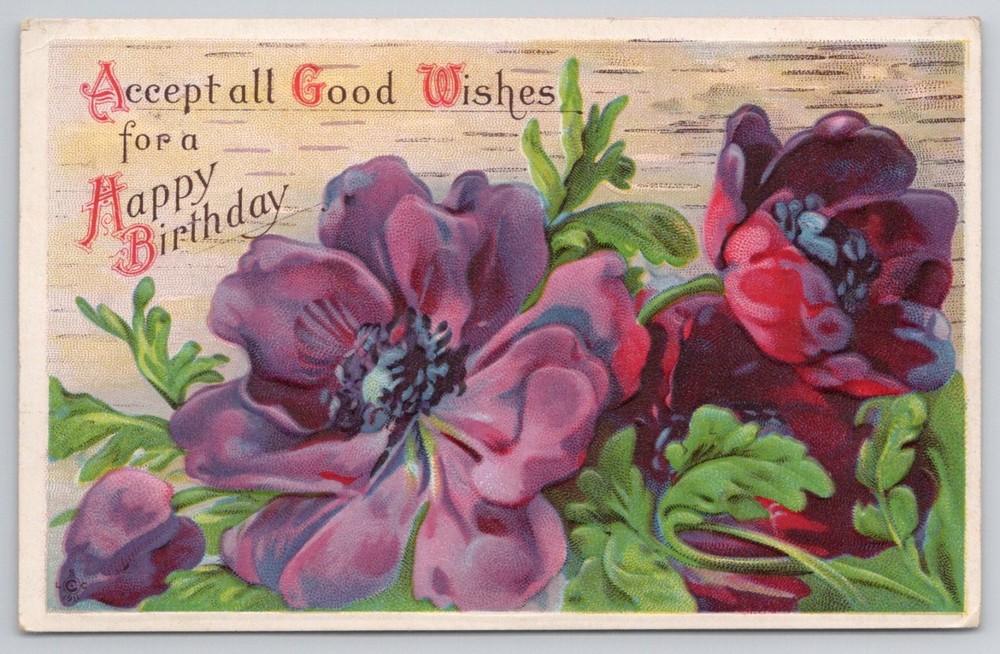 1913 Happy Birthday Anemone Flowers Embossed Postcard Tannersville PA Posted