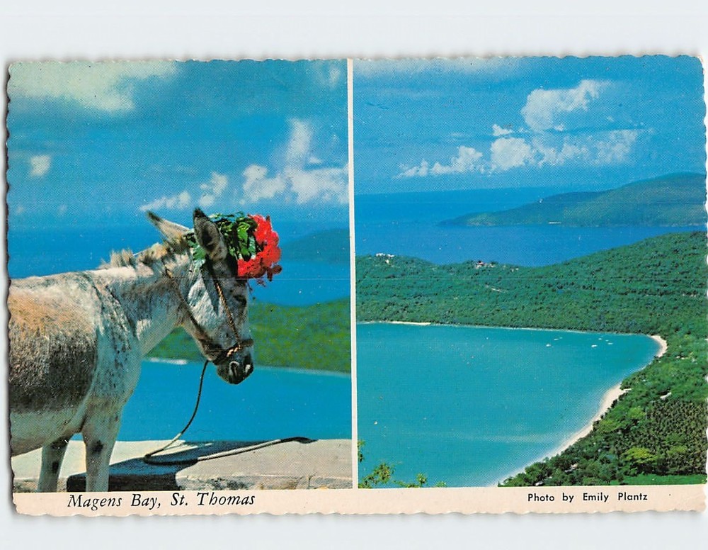Postcard Magens Bay St. Thomas US Virgin Islands USA