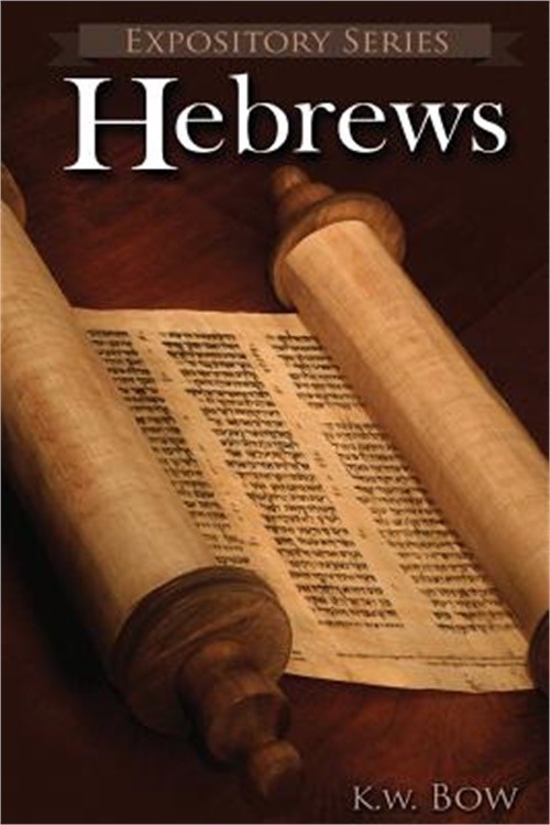 Hebrews: A Literary Commentary on the Book of Hebrews (Paperback or Softback)