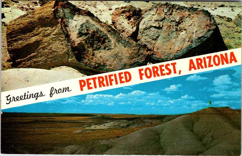 Postcard SCENE Petrified Forest National Park Arizona AZ m/09 AO8353