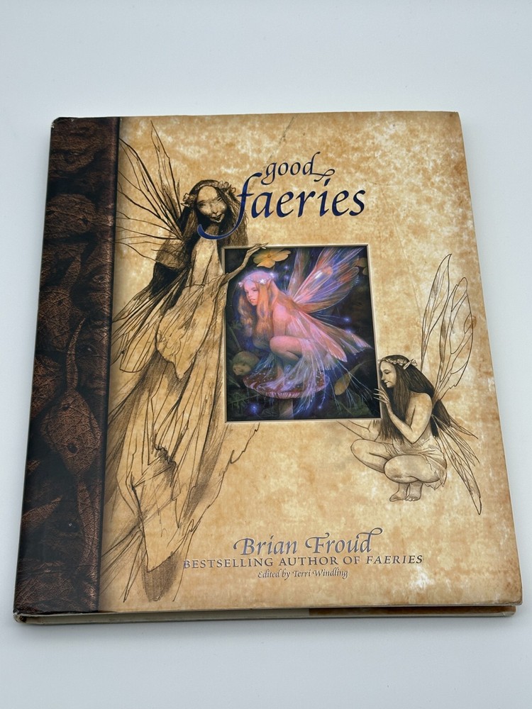 Good Faeries Bad Faeries Hardcover by Brian Froud Fantasy Art Mythical Lore 1998