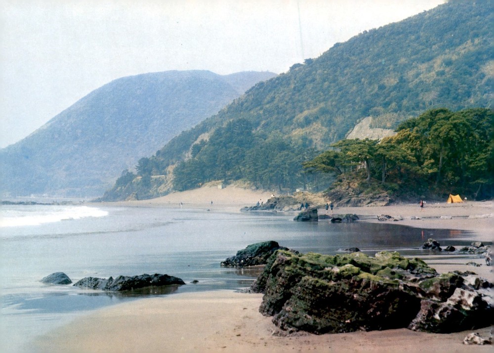 Japan Travel Company Stamp Postcard Postcard