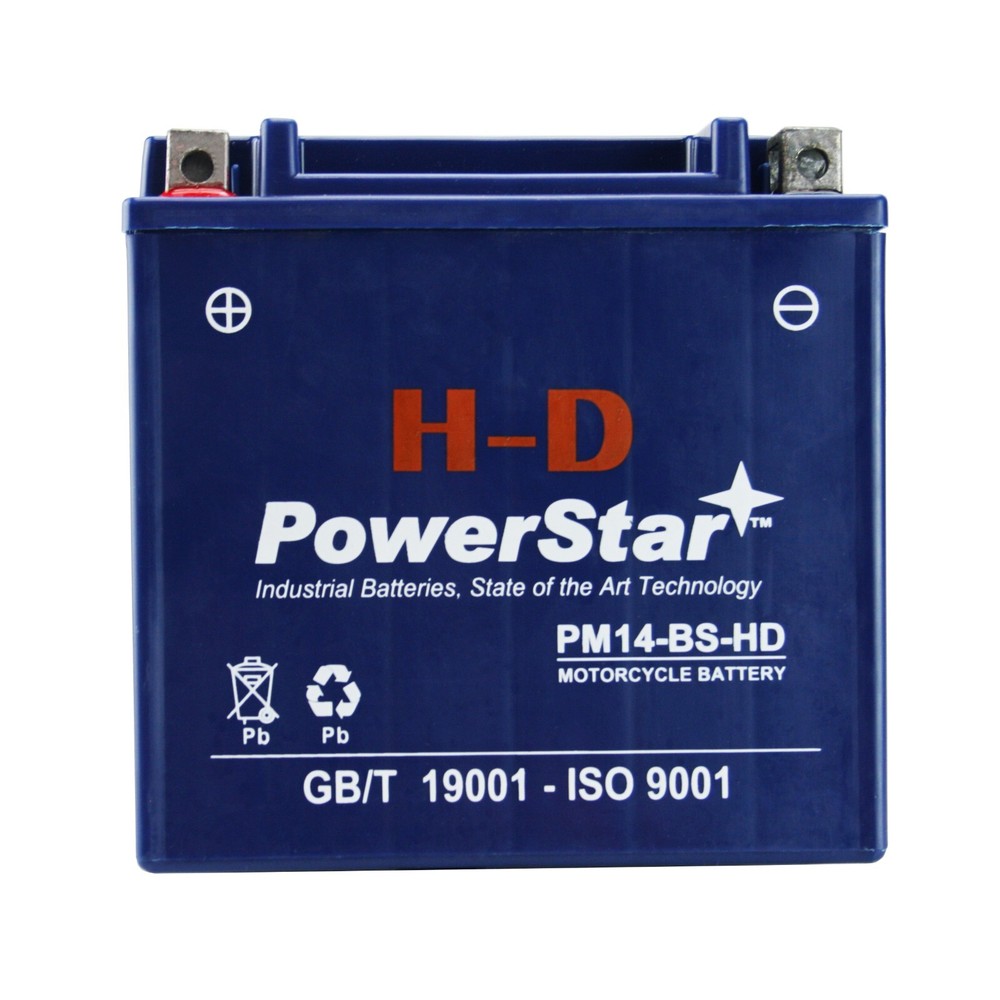 PowerStar YTX14-BS Battery for 2001 Honda VT1100T Shadow ACE-image