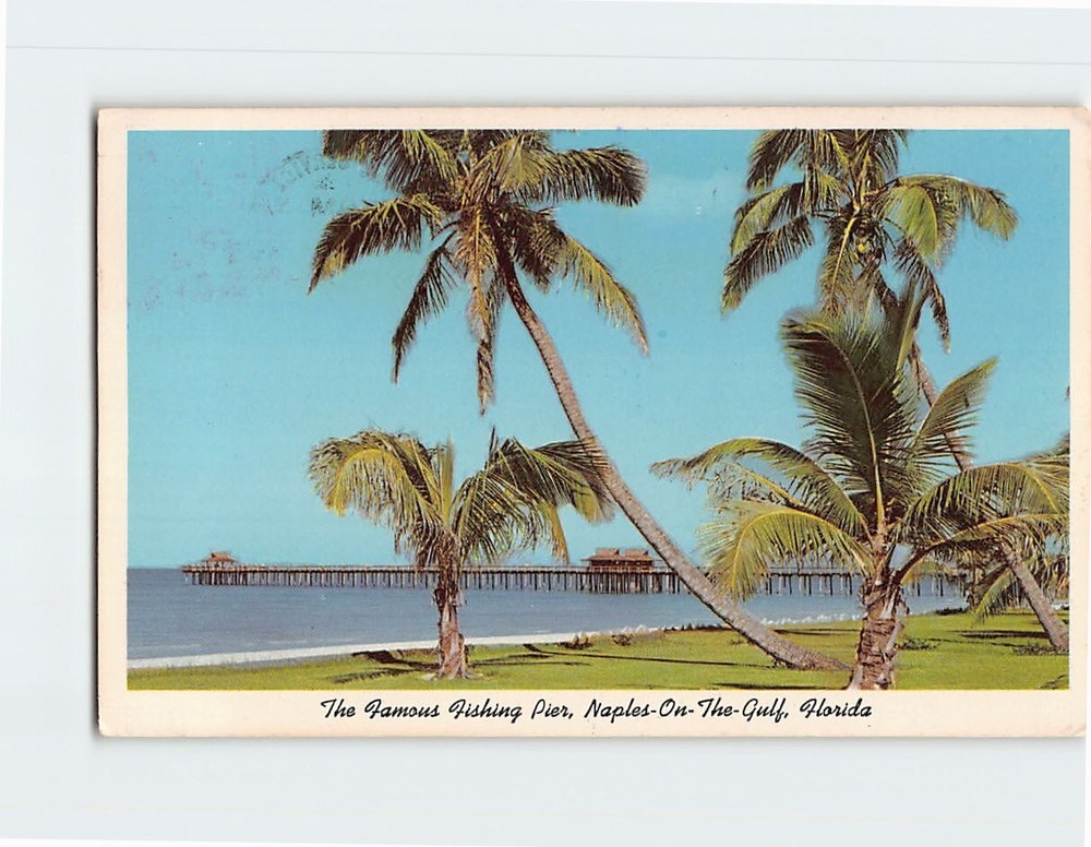Postcard Fishing Pier Naples-On-The-Gulf Florida USA