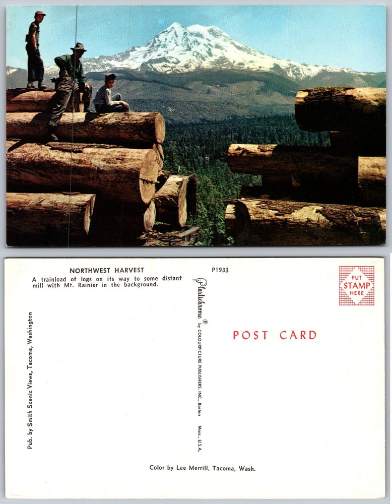 Mt Rainier Loggers Logging Scene Washington Postcard