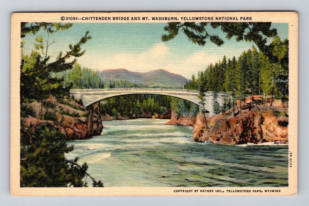 Yellowstone National Park, Chittenden Bridge, Series #31091 Vintage Postcard