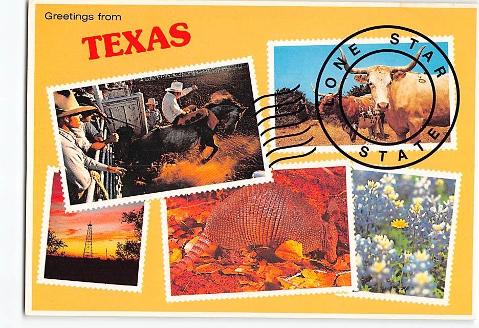 Postcard Scenes & Views Greetings from Texas USA