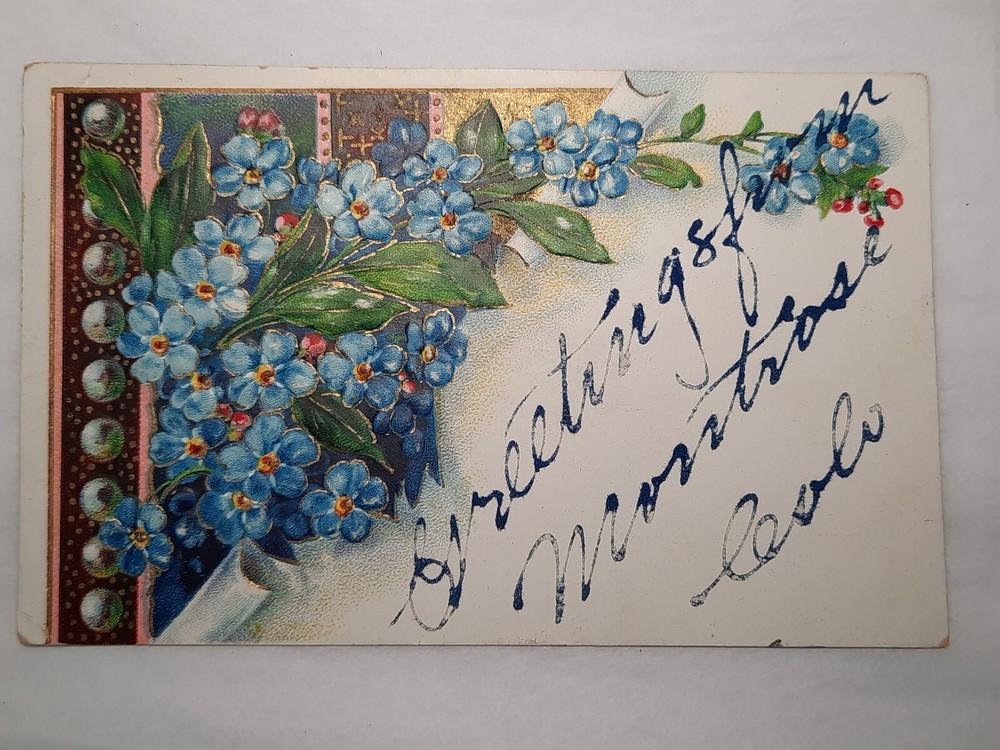 Postcard  Floral Blue forget-me-not Greetings from Montrose, Colo 1909 embossed
