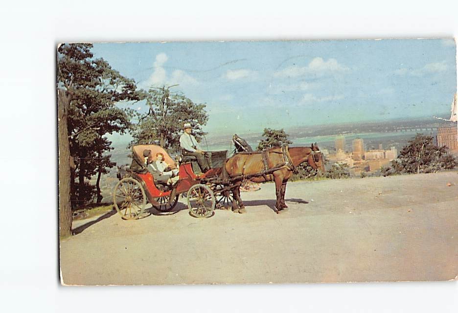 Postcard An Old French Horsedrawn Carriage on Mount Royal Montreal Canada