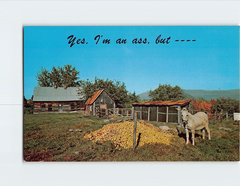 Postcard Yes Im an ass but You see I do Know my apples