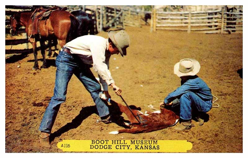 Postcard ANIMAL SCENE Dodge City Kansas KS m/09 AT5069