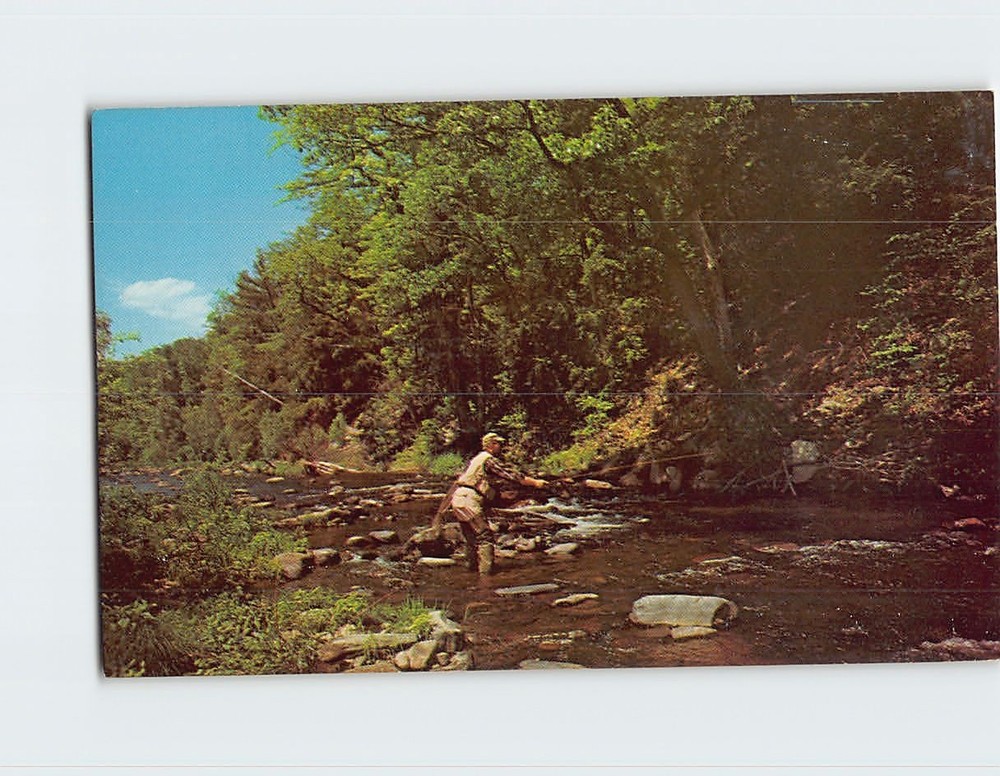 Postcard Fishing at Upper Twin Pool Pennsylvania USA