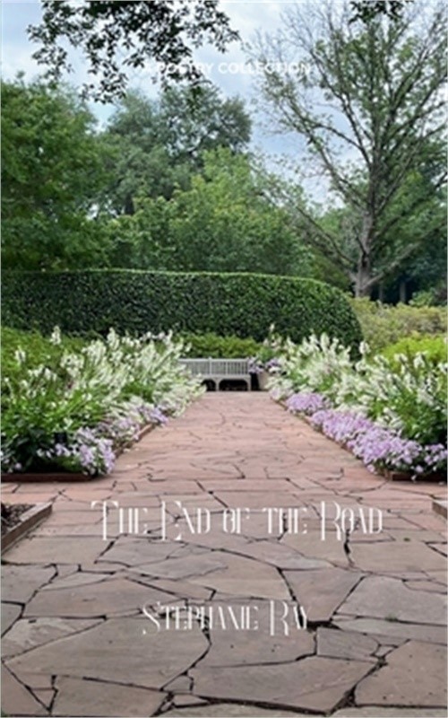 The End of the Road (Paperback or Softback)